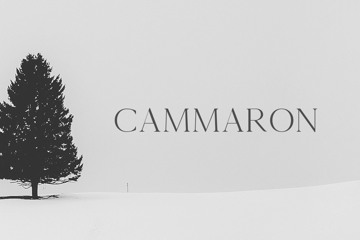 Free Cammron Serif Font