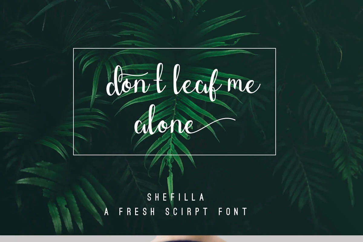 Shefilla Script Font Preview 3