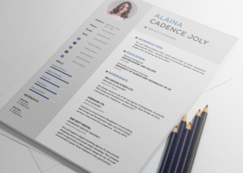 Free Professional Resume Template