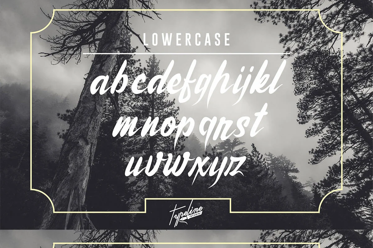Brothers Land Script Font Preview 2