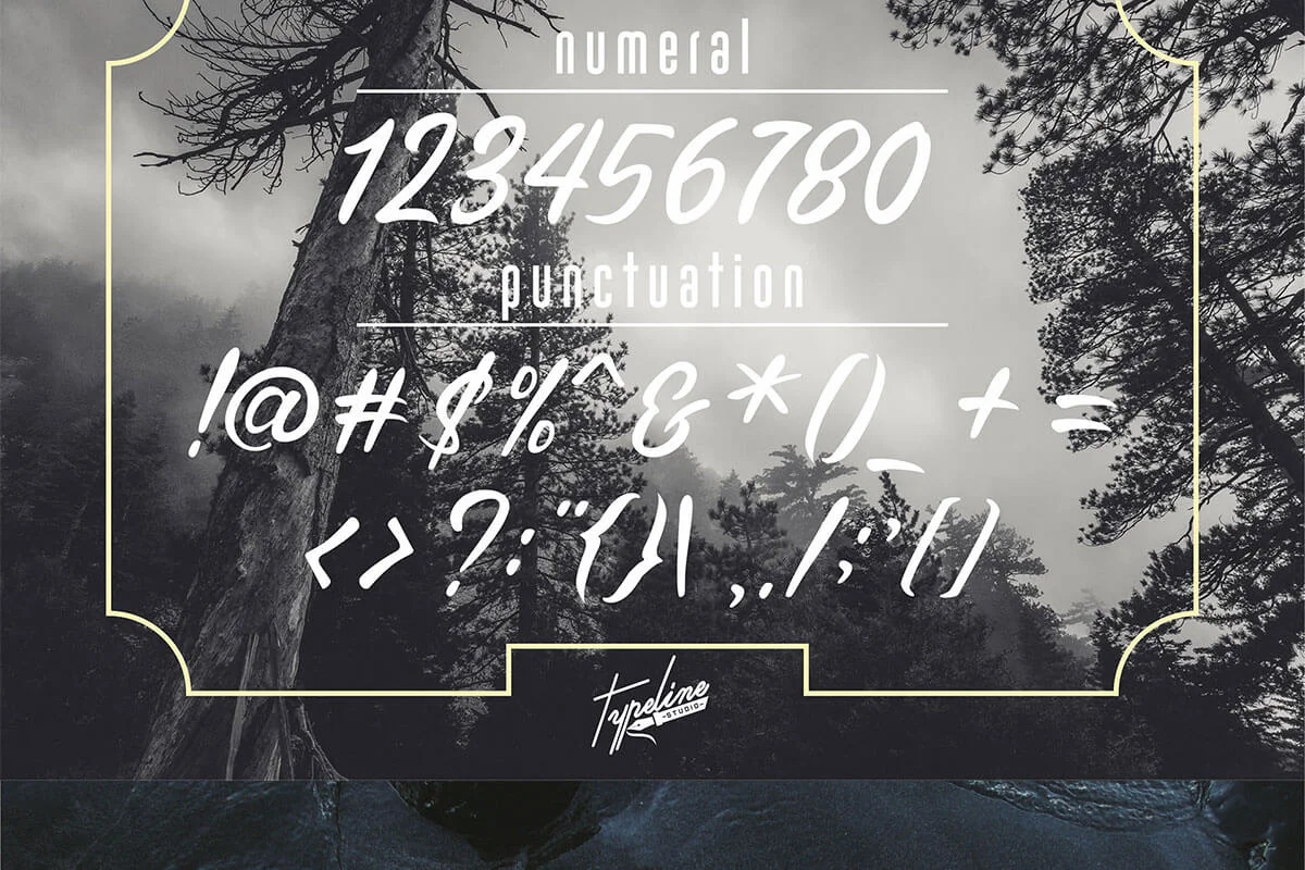 Brothers Land Script Font Preview 3