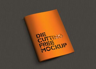 Free Die Cutting Brochure Cover
