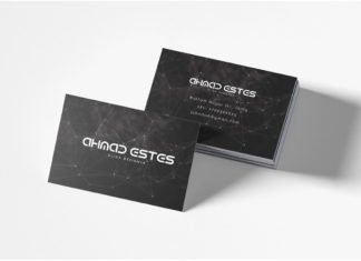 Free Professional Business Card Template