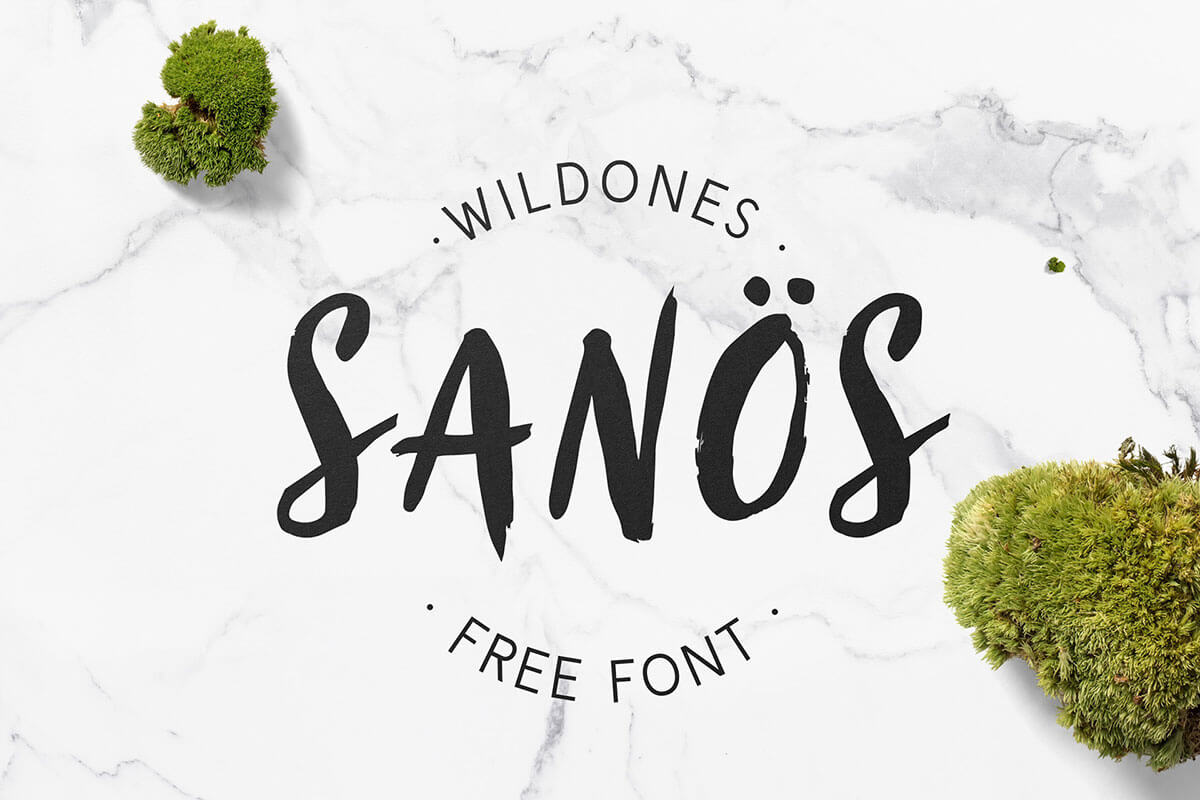 Free San%C3%B6s Brush Script Font