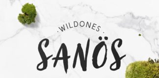 Free Sanös Brush Script Font