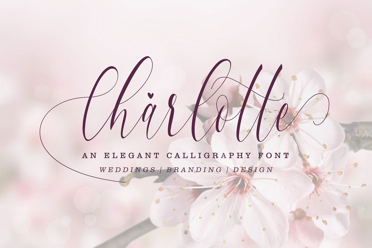 Free Charlotte Calligraphy Font