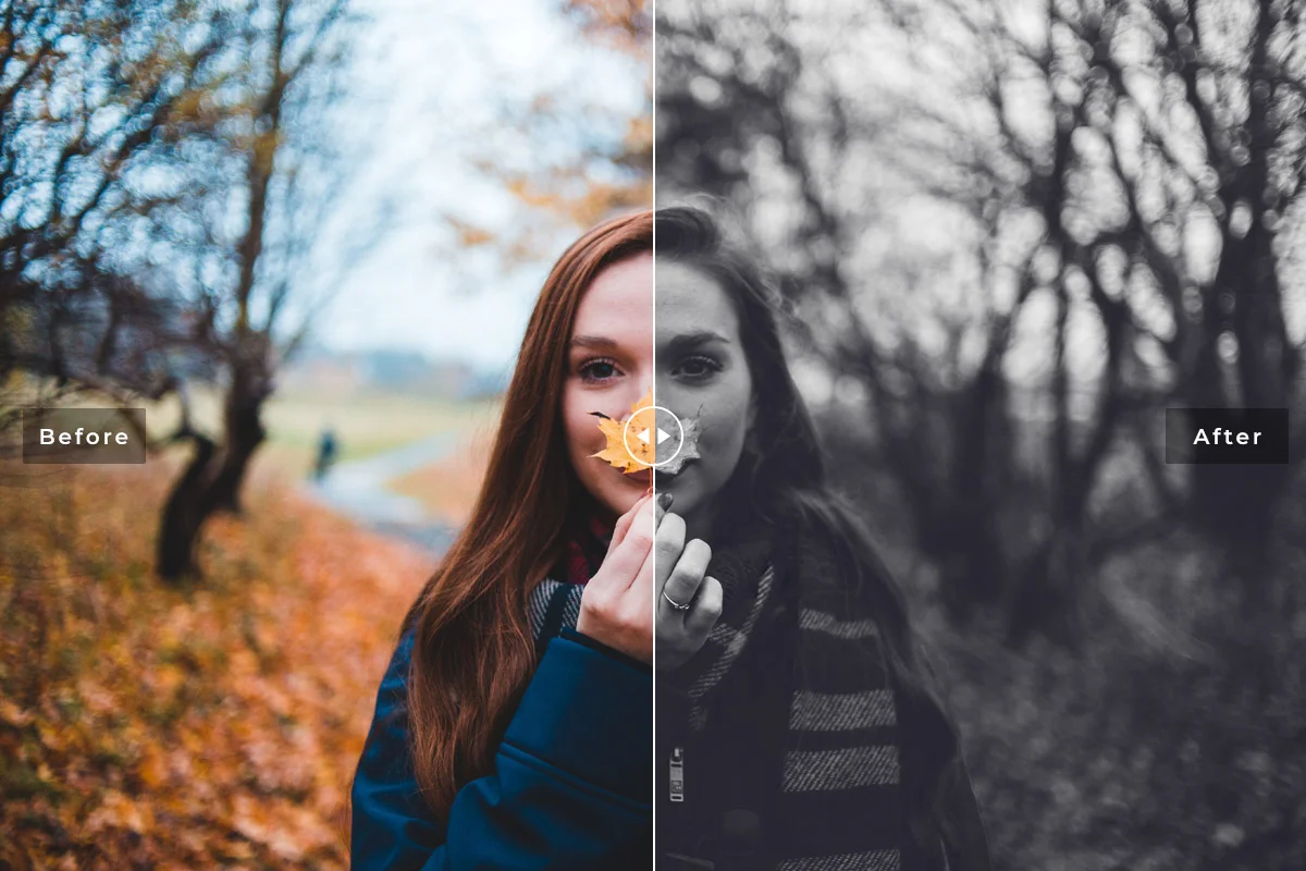 10 Black and White Lightroom Presets Preview 9