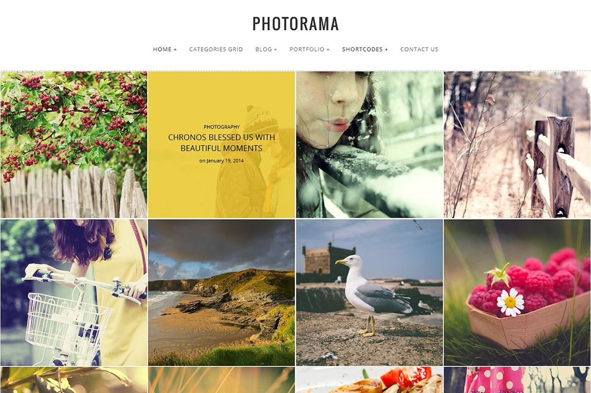 50 Feminine WordPress Themes for Photographers