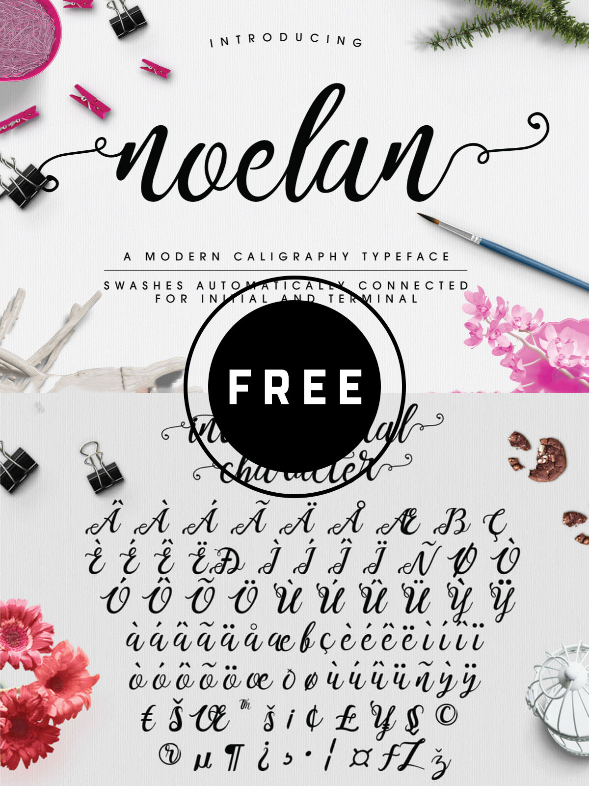 80+ Best Free Cursive Fonts