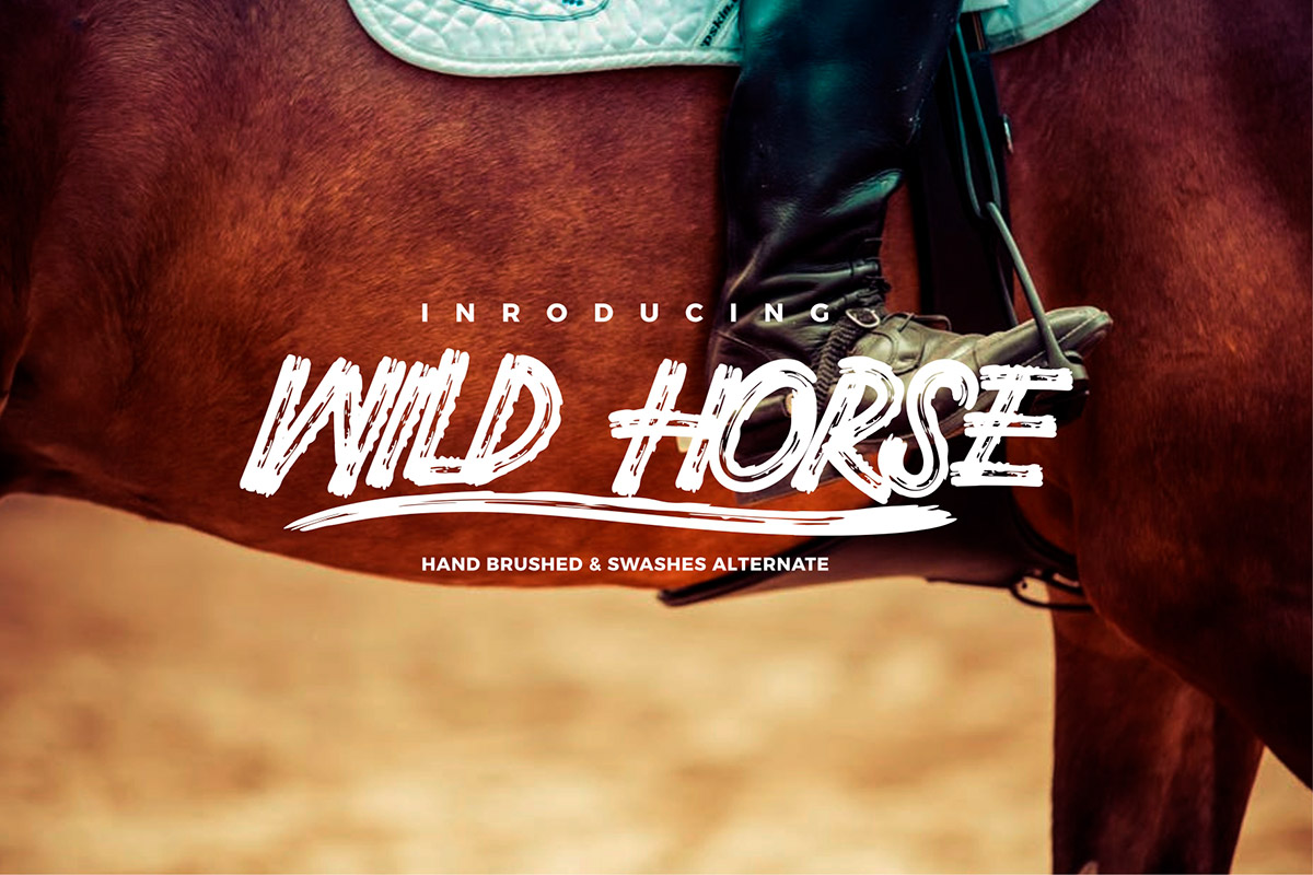Free Wild Horse Brush Font
