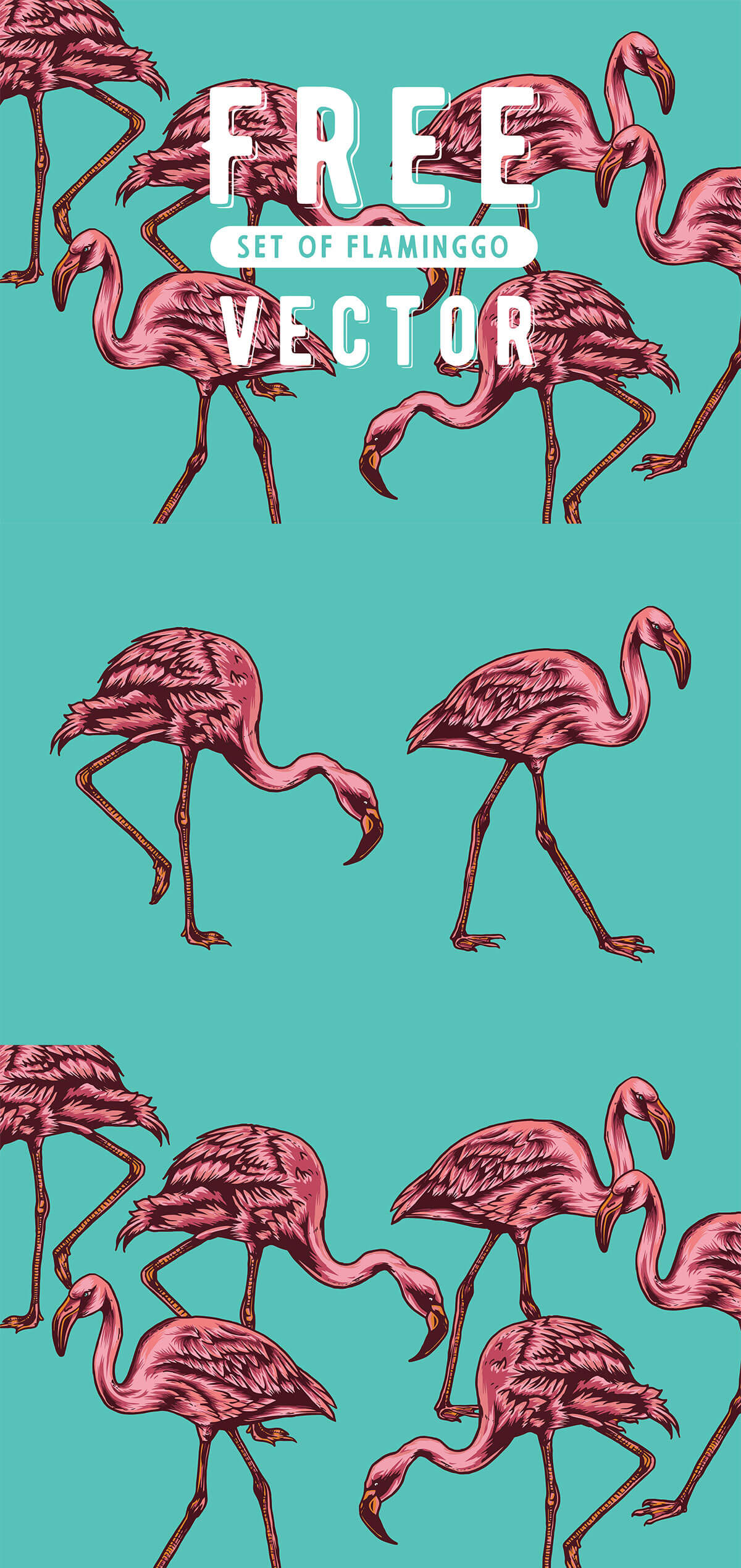 Free Flaminggo Vector Set