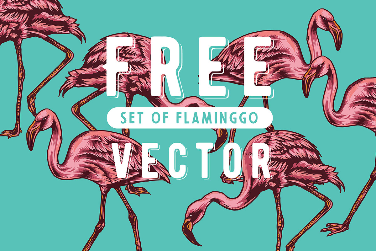 Free Flaminggo Vector Set