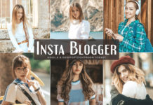 Free Insta Blogger Lightroom Preset