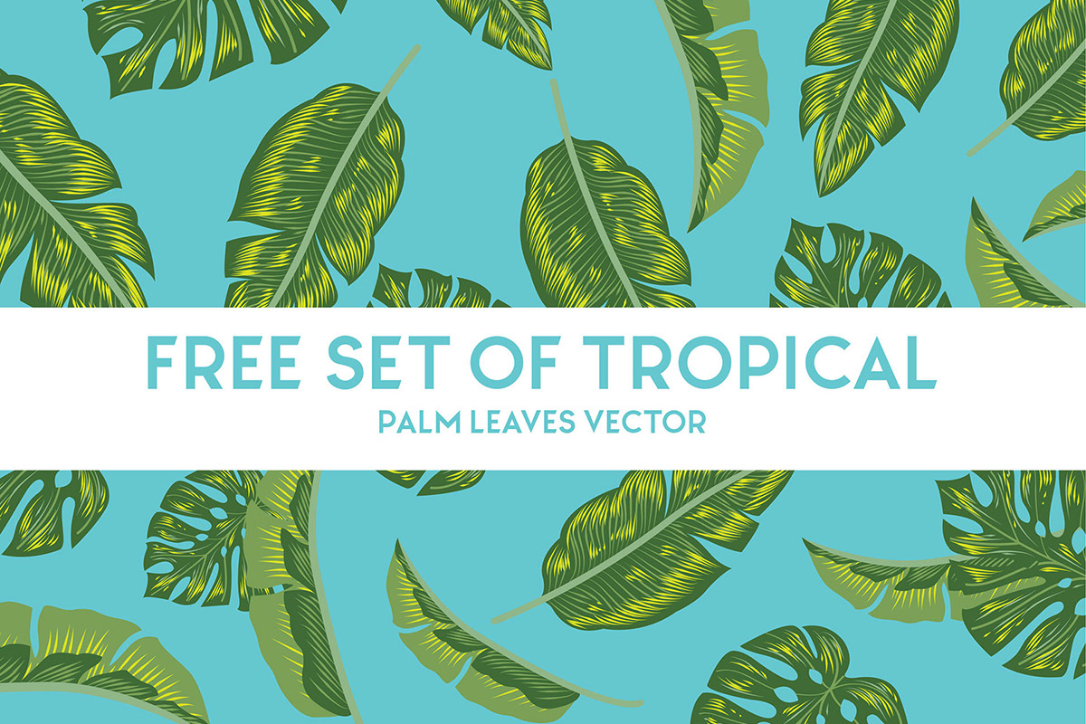 Free Tropical Palm Leaves Vector Set