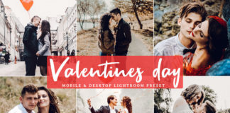 Free Valentines Day Lightroom Preset