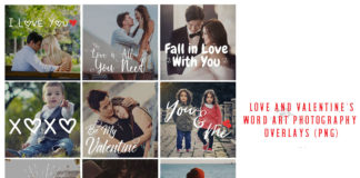 Love and Valentine's Word Art Photography Overlays (PNG)