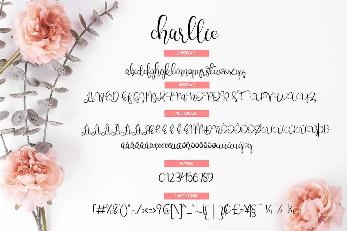 Charllie Script Font Preview 2
