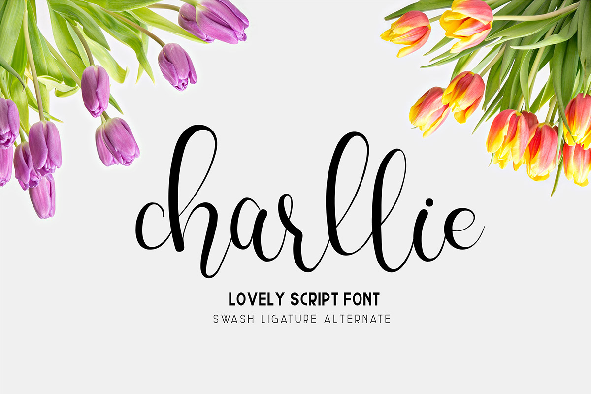 Free Charllie Script Font