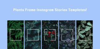 Free Plants Frame Instagram Stories Templates
