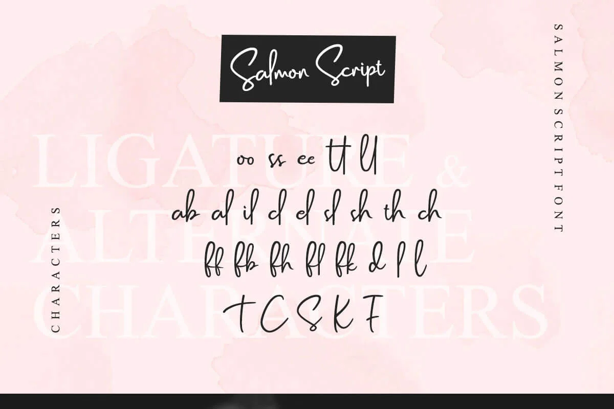 Salmon Script Font Preview 4