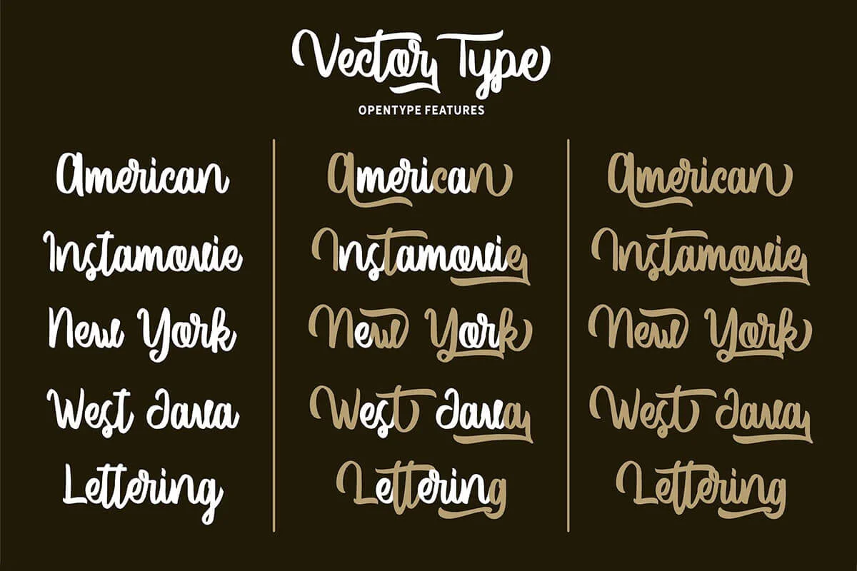 Vector Type Script Font Preview 2