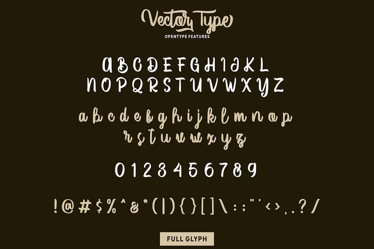 Vector Type Script Font Preview 4