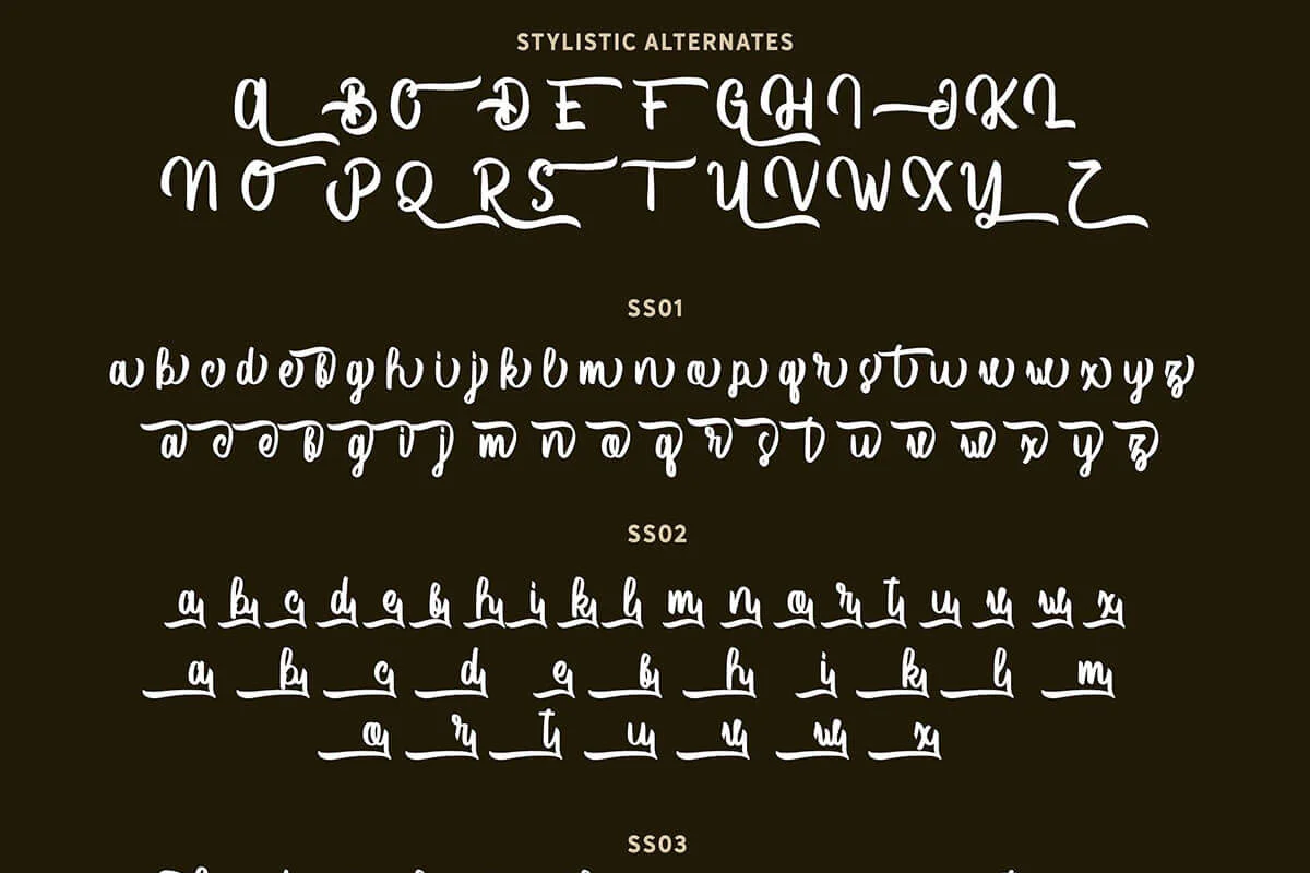 Vector Type Script Font Preview 5