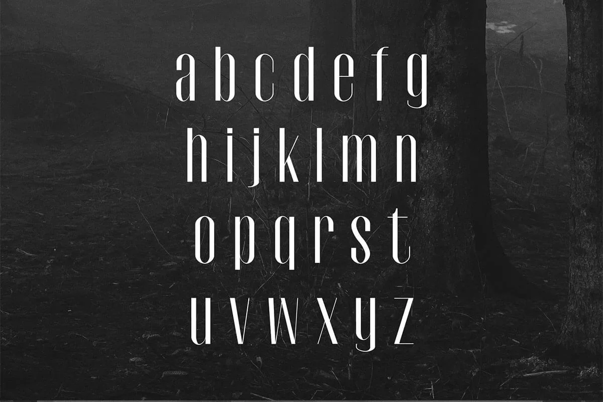 Cador Sans Serif Font Preview 1