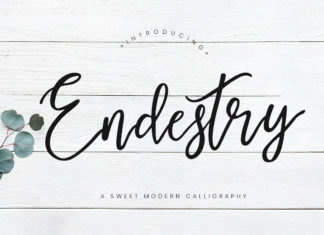 Free Endestry Modern Calligraphy Font