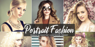Free Portrait Fashion Lightroom Preset