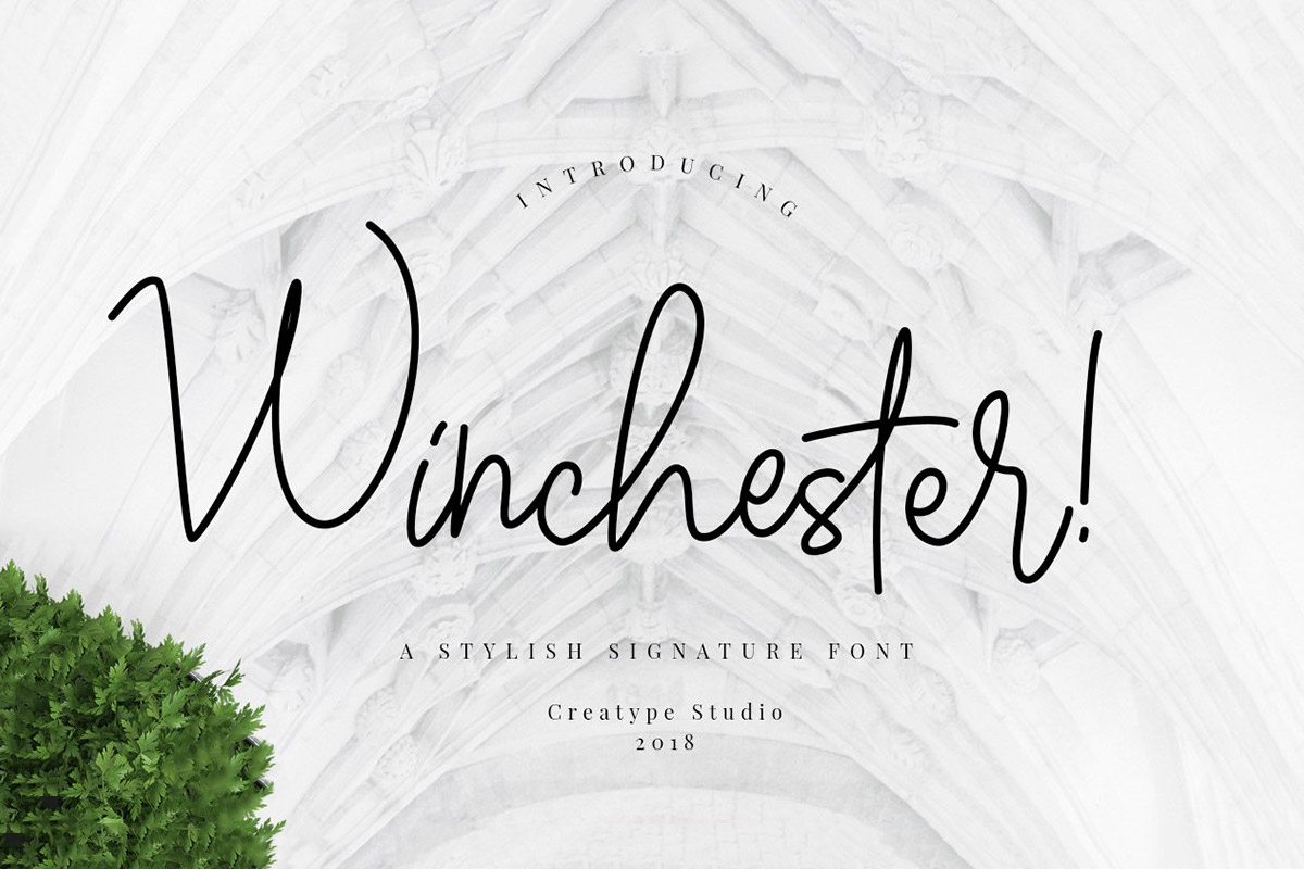 Free Winchester Signature Script Font