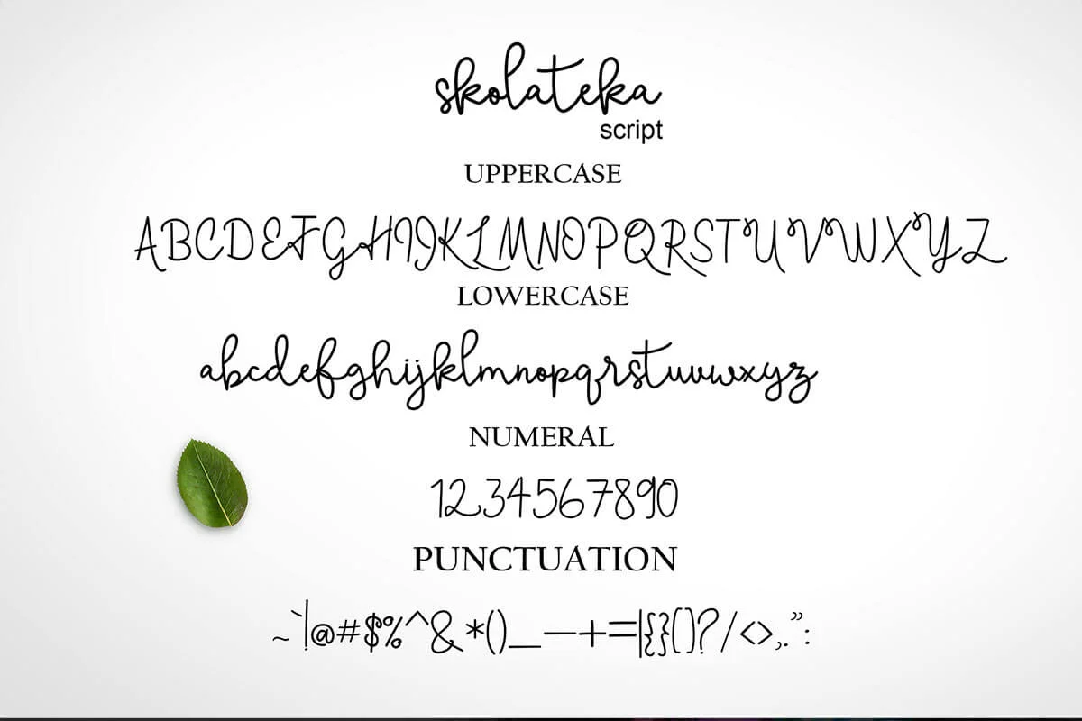 Skolateka Script Calligraphy Font Family Preview 5