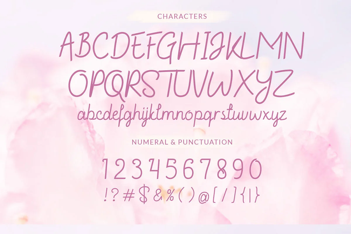 December Beauty Script Font Preview 6