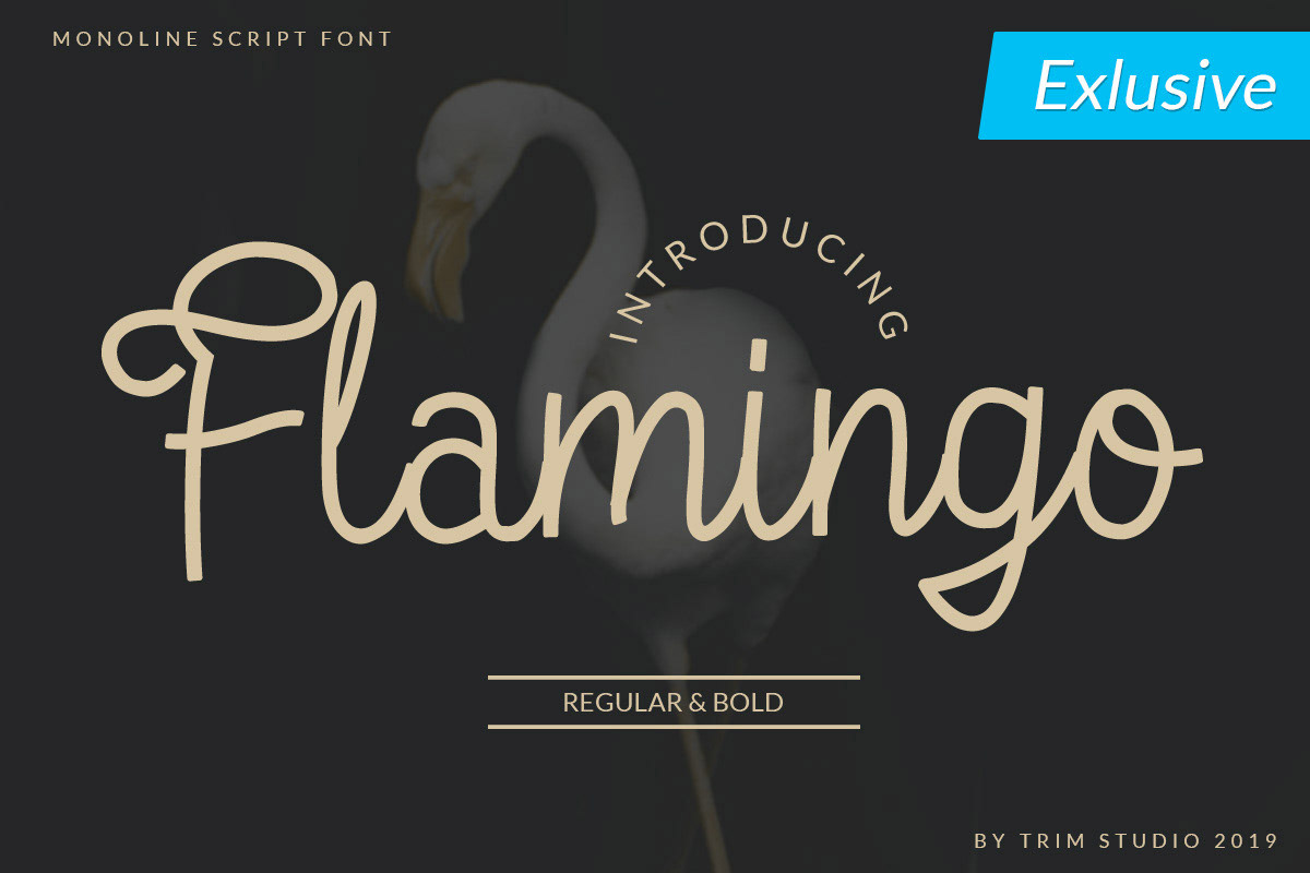 Free Flamingo Script Font