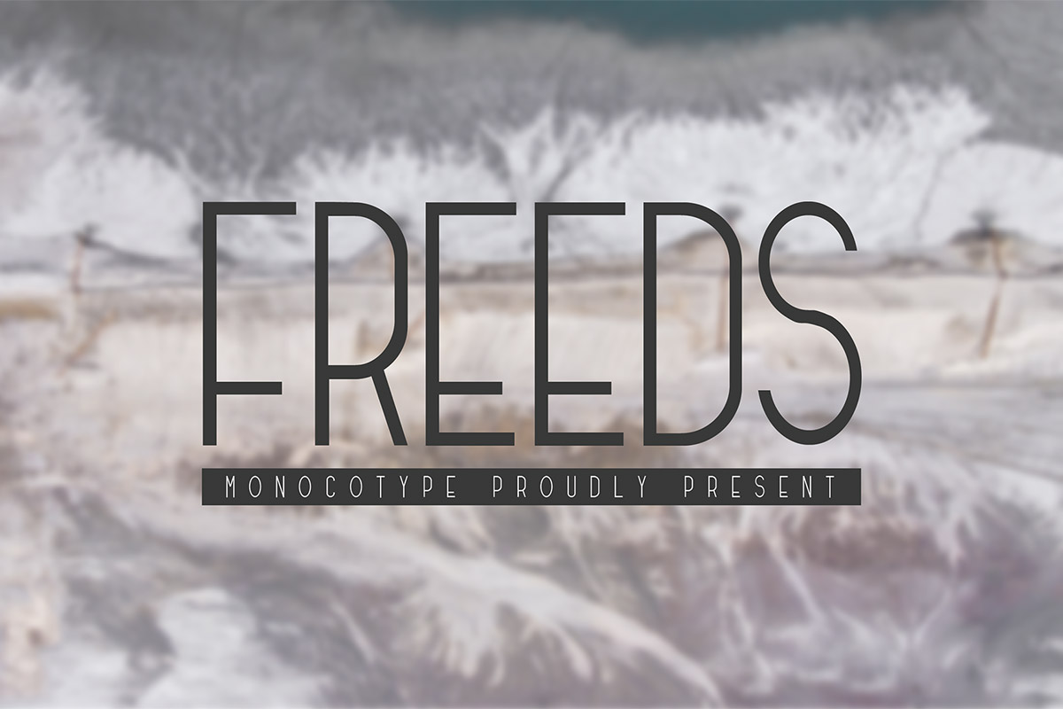 Free Freeds Modern Font