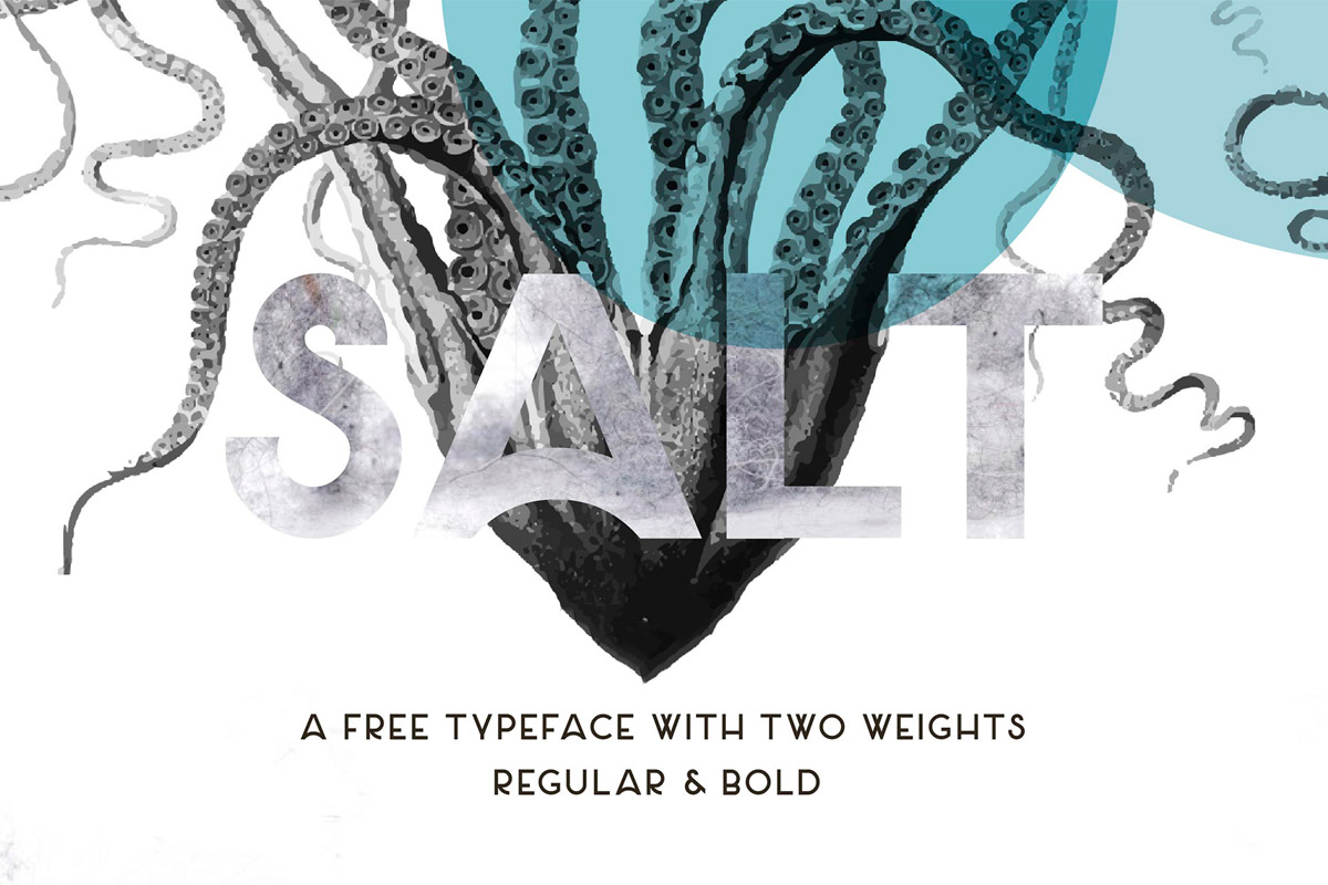 Salt Sans Serif Font Family