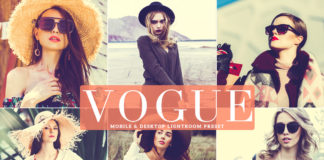 Free Vogue Lightroom Preset