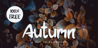 Free Autumn Brush Font