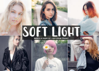 Free Soft Light Lightroom Preset