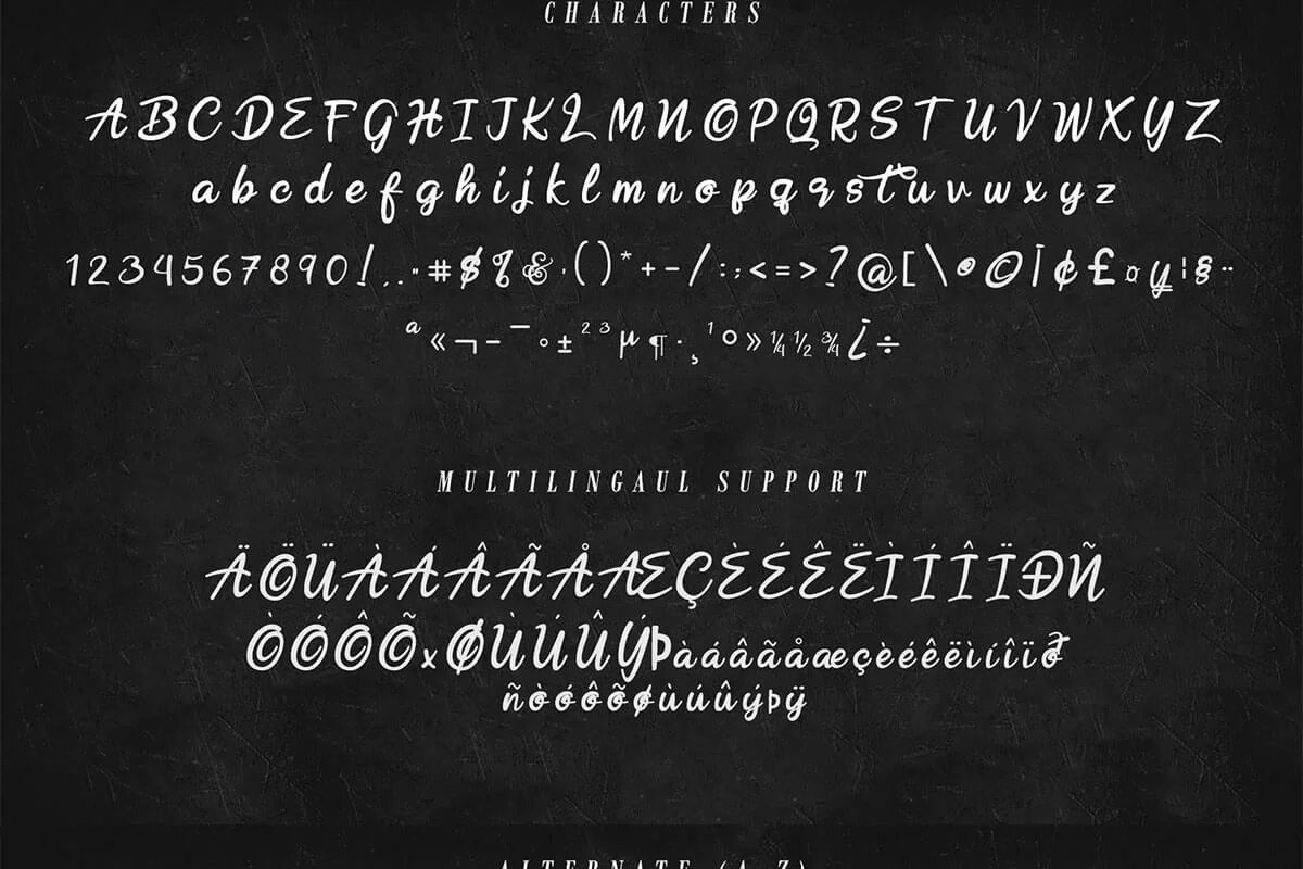 Hobenshaw Bold Script Font Preview 4