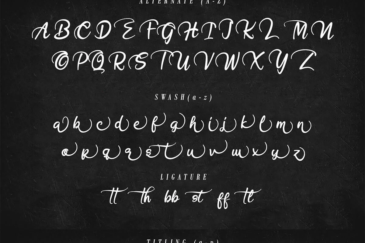 Hobenshaw Bold Script Font Preview 5