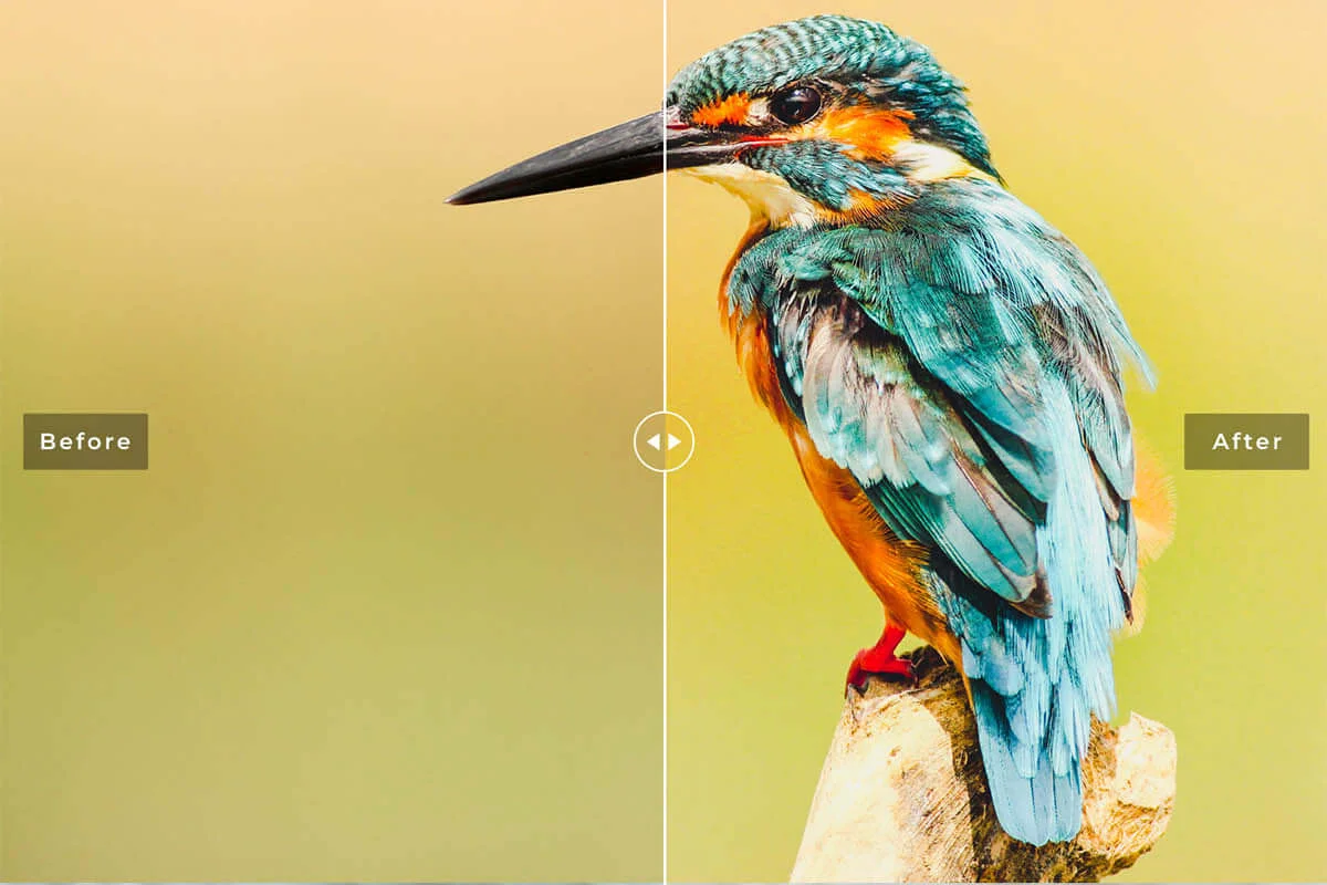 Birds and Wings Lightroom Preset Preview 3