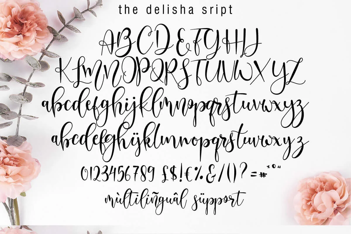 Delisha Script Font Preview 3