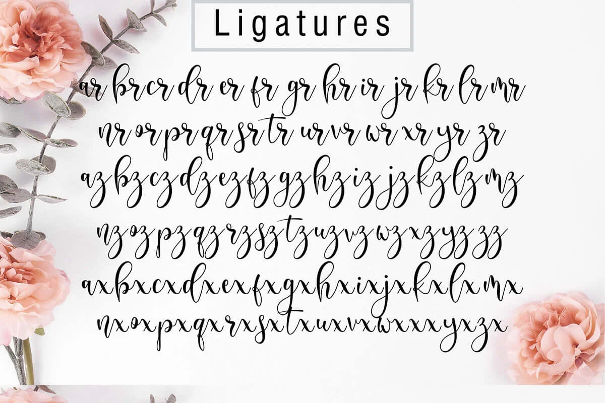 Delisha Script Font Preview 4