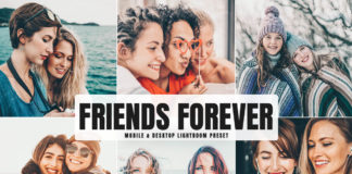 Free Friends Forever Lightroom Preset