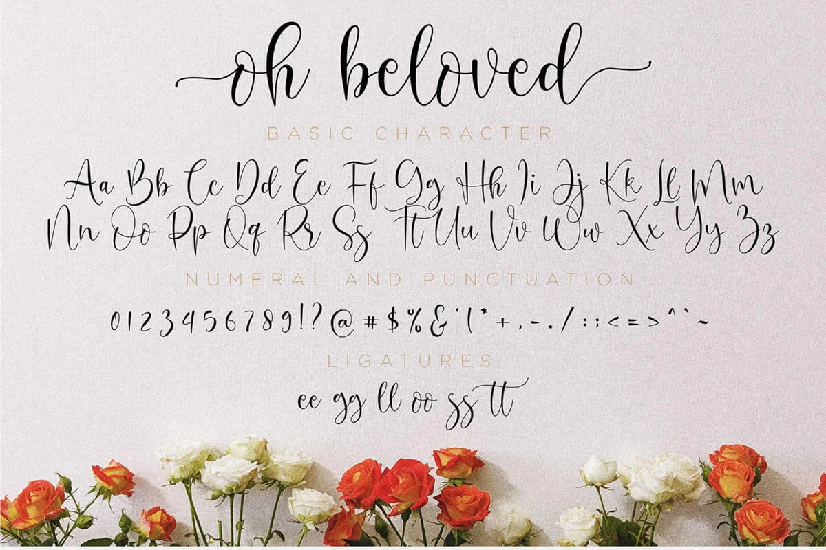 Oh Beloved Lovely Script Font Preview 2