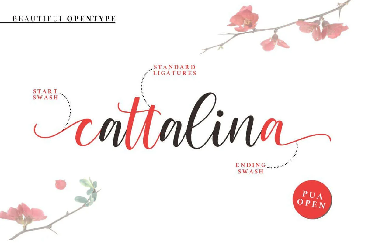 Cattalina Script Font Preview 5