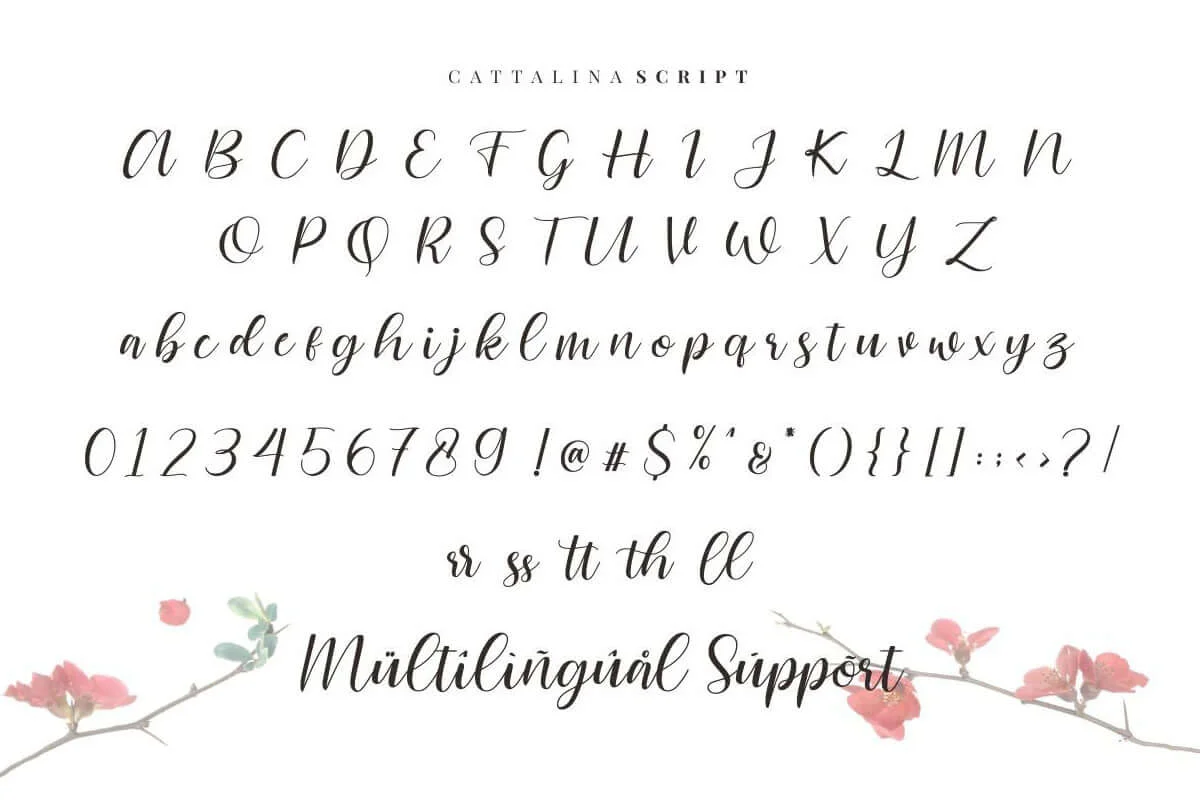 Cattalina Script Font Preview 6