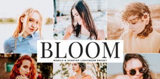 Free Bloom Lightroom Preset