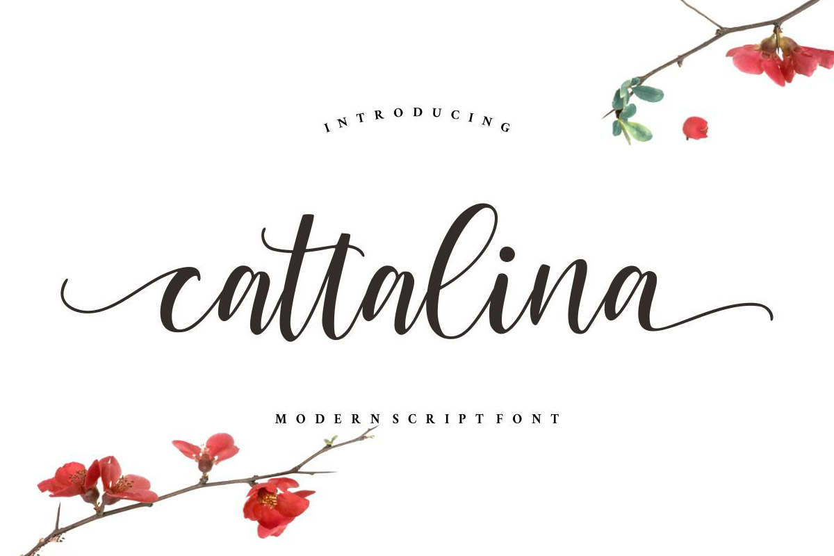 Free Cattalina Script Font